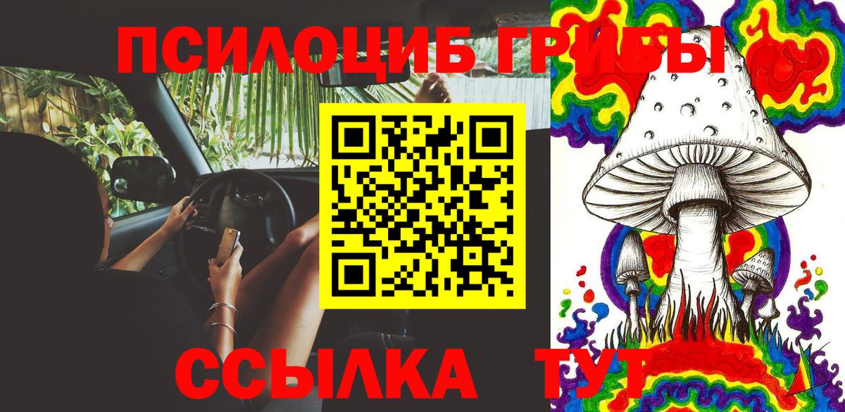Псилоцибиновые грибы GOLDEN TEACHER  Вход с VPN  Галлюциногенные грибы Psilocybine cubensis  Сальск 